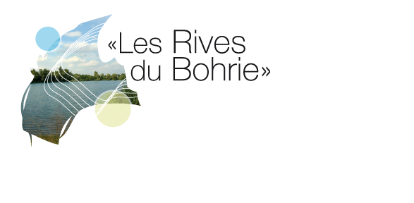 Les rives du Bohrie